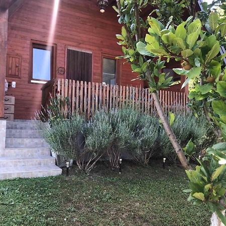 Holiday Home Nemo Bihac Ngoại thất bức ảnh